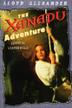 Cover art for THE XANADU ADVENTURE