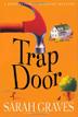 Cover art for TRAP DOOR