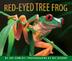 Cover art for RED-EYED TREE FROG