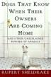 Cover art for DOGS THAT KNOW WHEN THEIR OWNERS ARE COMING HOME