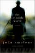 Cover art for THE INVISIBLE WORLD