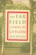 Cover art for THE FAR FIELD