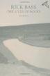 Cover art for THE LIVES OF ROCKS
