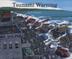 Cover art for TSUNAMI WARNING