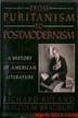 Cover art for FROM PURITANISM TO POSTMODERNISM