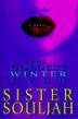 Cover art for THE COLDEST WINTER EVER