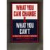 Cover art for WHAT YOU CAN CHANGE AND WHAT YOU CAN'T