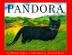 Cover art for PANDORA