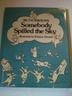Cover art for SOMEBODY SPILLED THE SKY