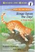 Cover art for RINGO SAVES THE DAY!