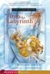 Cover art for INTO THE LABYRINTH