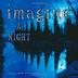 Cover art for IMAGINE A NIGHT
