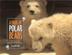 Cover art for A PAIR OF POLAR BEARS