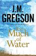 Cover art for TOO MUCH OF WATER