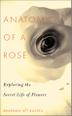 Cover art for ANATOMY OF A ROSE