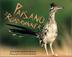 Cover art for PAISANO, THE ROADRUNNER