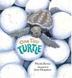 Cover art for ONE TINY TURTLE