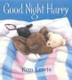 Cover art for GOOD NIGHT, HARRY