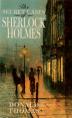 Cover art for THE SECRET CASES OF SHERLOCK HOLMES