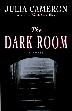 Cover art for THE DARK ROOM