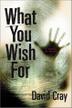 Cover art for WHAT YOU WISH FOR