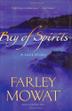 Cover art for BAY OF SPIRITS
