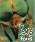 Cover art for BUG FACES