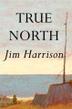 Cover art for TRUE NORTH