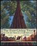 Cover art for THE EVER-LIVING TREE