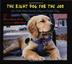 Cover art for THE RIGHT DOG FOR THE JOB
