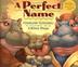 Cover art for A PERFECT NAME
