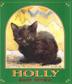 Cover art for HOLLY