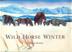 Cover art for WILD HORSE WINTER
