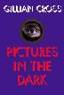 Cover art for PICTURES IN THE DARK