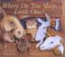 Cover art for WHERE DO YOU SLEEP, LITTLE ONE?