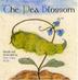 Cover art for THE PEA BLOSSOM