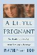 Cover art for A LITTLE PREGNANT