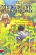 Cover art for ALLEN JAY AND THE UNDERGROUND RAILROAD