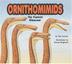 Cover art for ORNITHOMIMIDS
