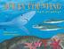 Cover art for OCEAN COUNTING