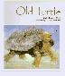 Cover art for OLD TURTLE