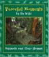 Cover art for PEACEFUL MOMENTS IN THE WILD