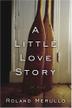 Cover art for A LITTLE LOVE STORY