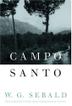 Cover art for CAMPO SANTO
