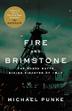 Cover art for FIRE AND BRIMSTONE