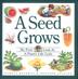 Cover art for A SEED GROWS