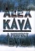 Cover art for A PERFECT EVIL