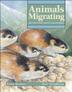 Cover art for ANIMALS MIGRATING