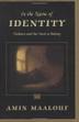 Cover art for IN THE NAME OF IDENTITY