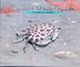 Cover art for ABOUT CRUSTACEANS
